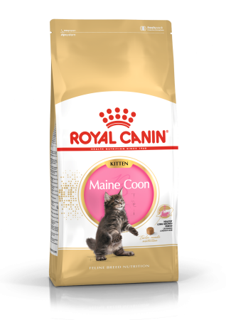 Royal Canin Maine Coon Kitten 10 kg