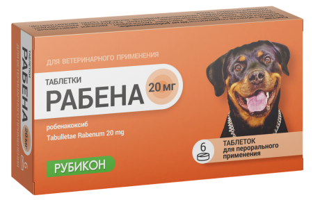 Рабена 20 мг таблетки 6 шт